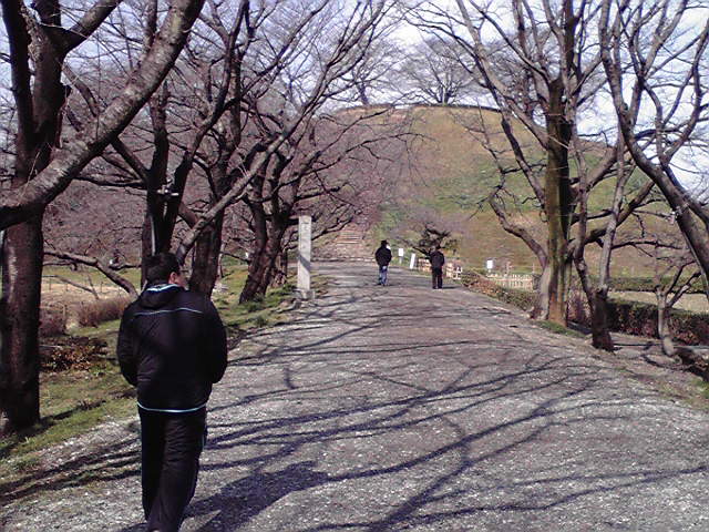 2010022809.jpg