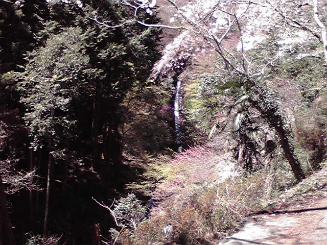 2011041703.jpg